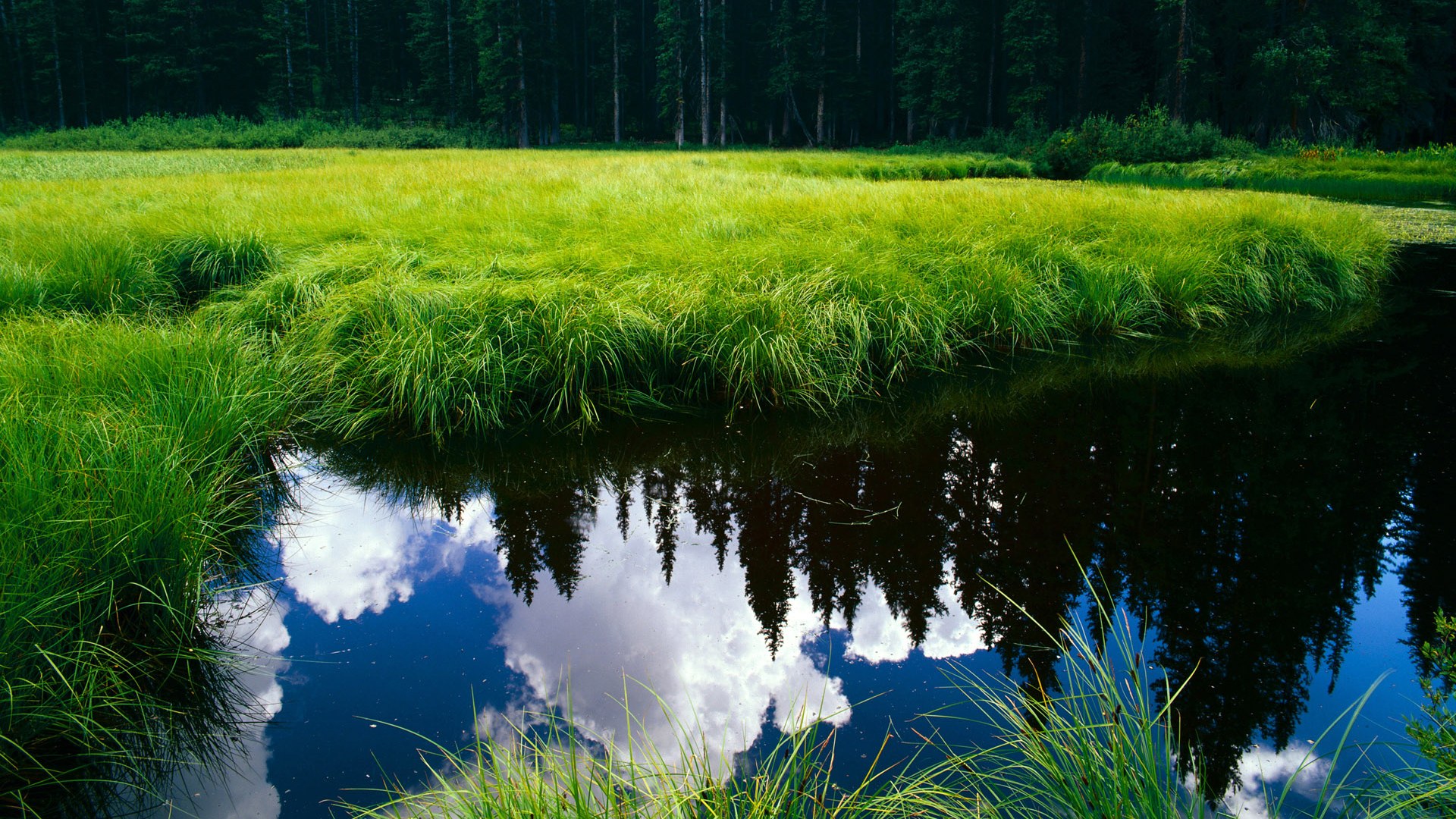 NBA史上最经典的“守护神”时刻,nba守卫来自中国