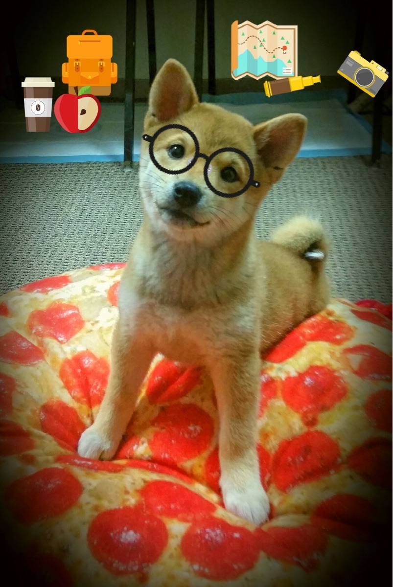 冬季高山滑翔伞挑战，极速飞跃云端极限，山顶滑翔伞