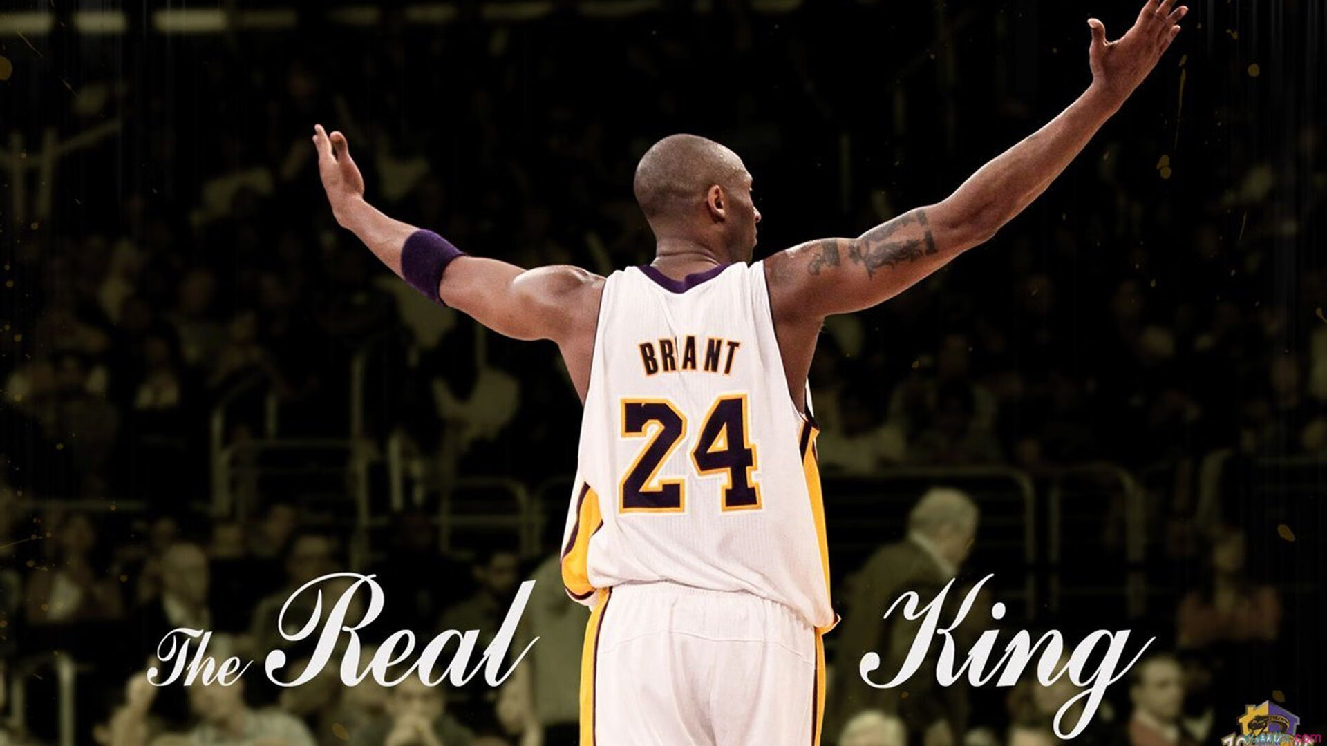 利物浦欧冠之路逐步展开，目标冠军