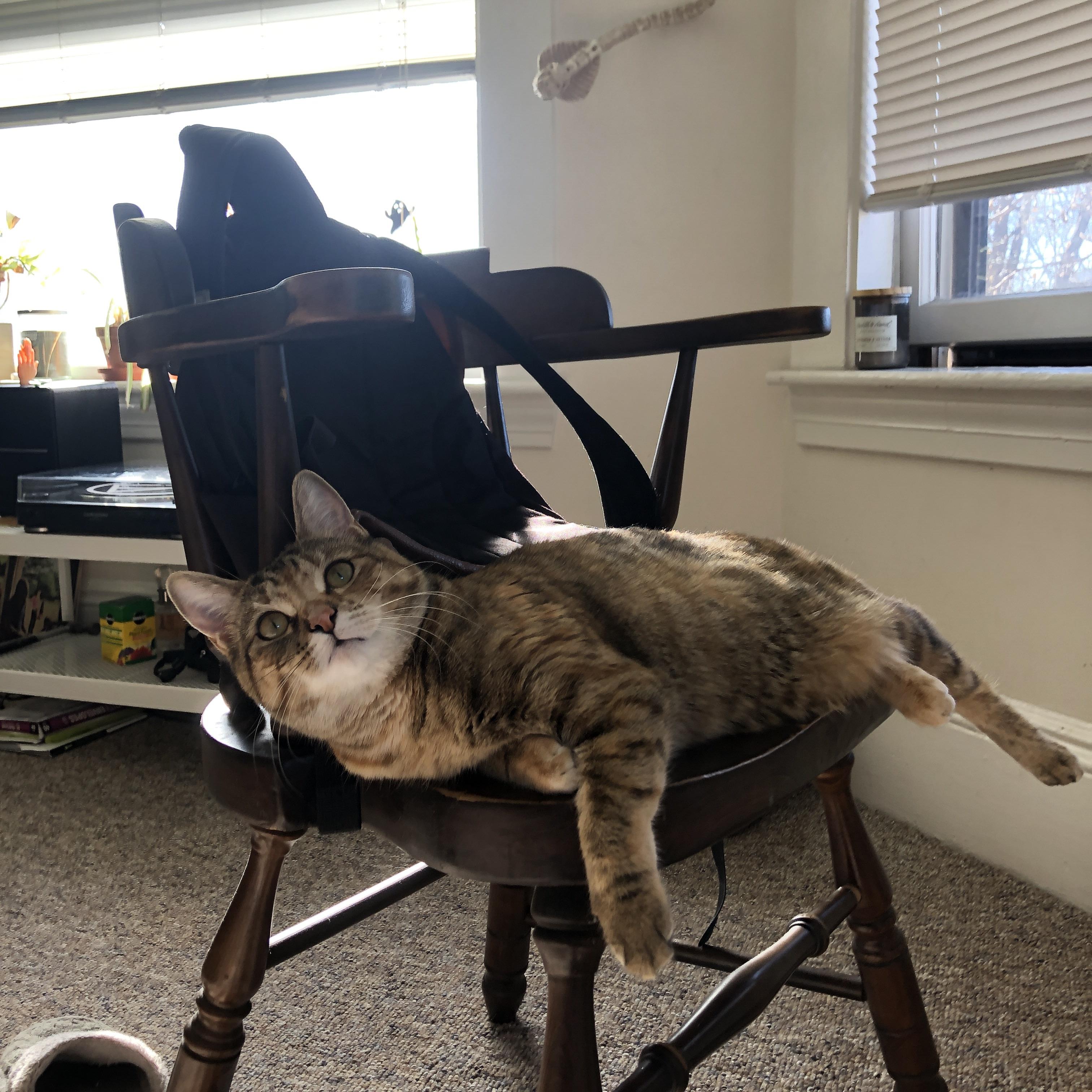 爱游戏体育app-Dota 2 赛事转播技术升级创新，dota2直播burning