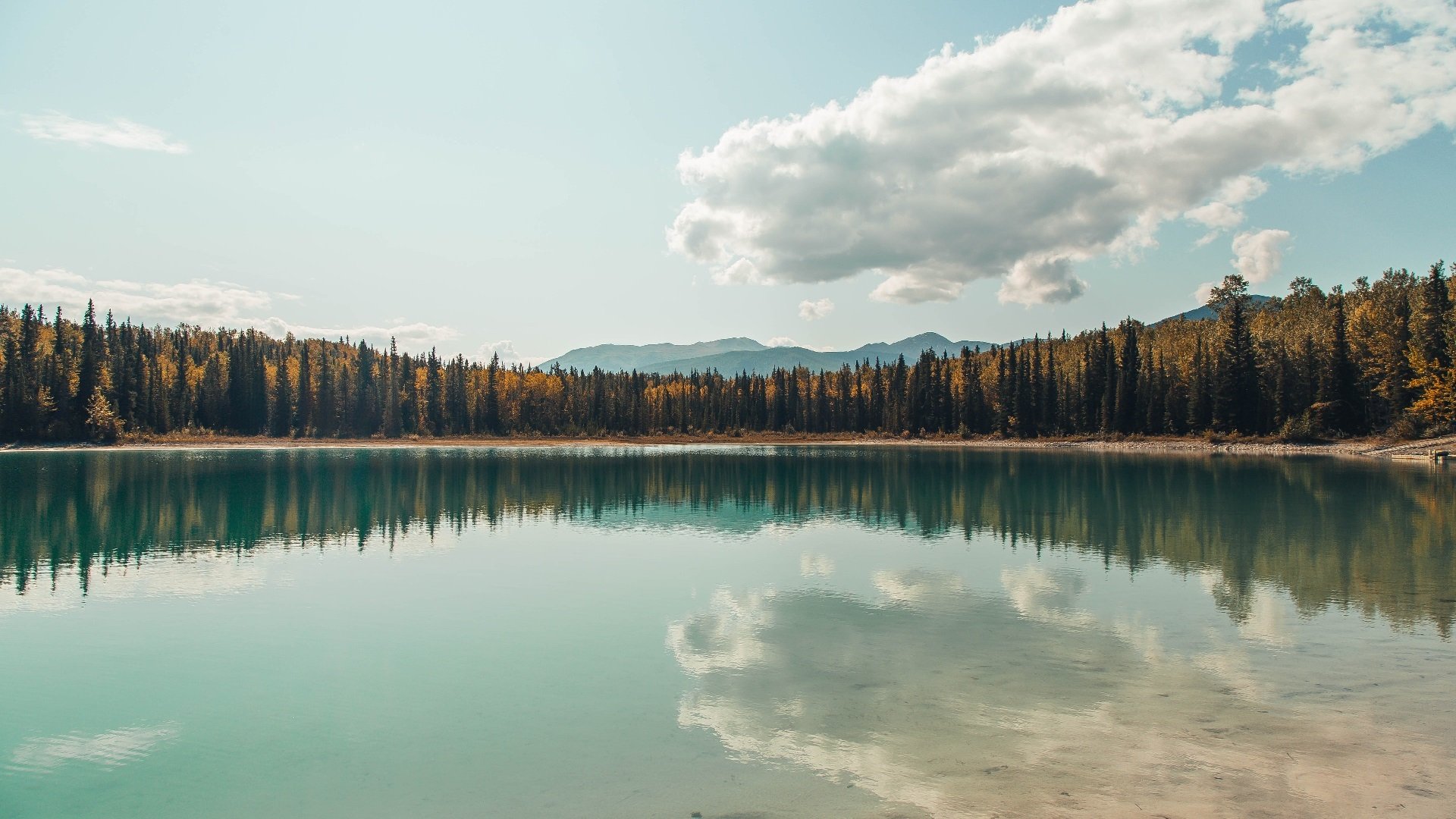 爱游戏登录入口-_体育与公益联动：运动助力社会进步_，关于体育的公益项目