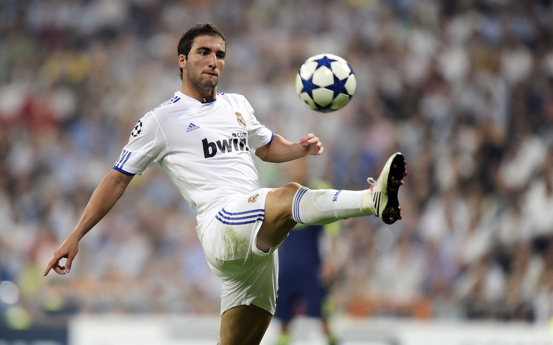 AYX体育官网-突尼斯人贾瓦迪挑战强手游出新高，突尼斯之夜 百度百科